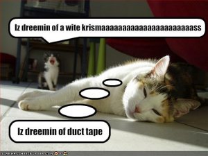lolcatsloudkitty.jpg