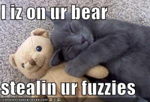 lolcatsstealingfuzzies.jpg