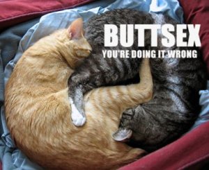 buttsex.jpg