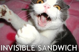 sandwichlolcat.jpg