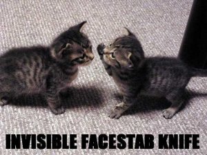 facestab.jpg