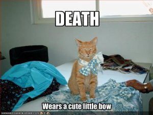 lolcatsdeath.jpg