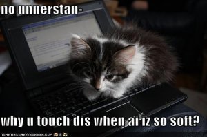 lolcatsisosoft.jpg
