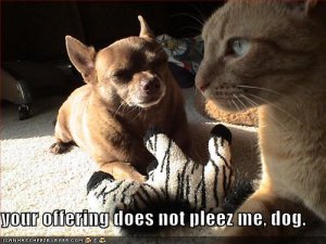 lolcatsoffering.jpg