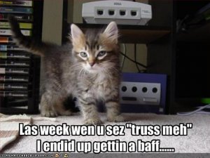 lolcatstrustme.jpg