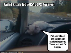 lolcatsgps.jpg
