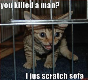 jailedkitteh.jpg