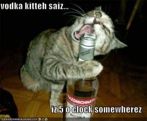 lolcatsvodkakitteh.jpg