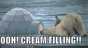 lolcatsicecreamfilling.jpg