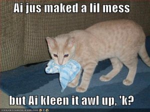 lolcatskleenupmess.jpg