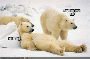 lolcatsanythinggoodon.jpg