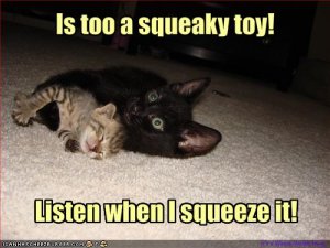 lolcatssqueakytoy.jpg