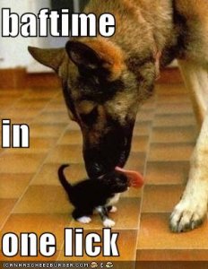 lolcatsbaftime.jpg