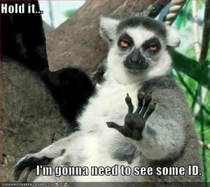 lolcatslemurneedstoseeid.jpg