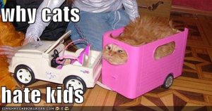 funny-pictures-why-cats-hate-kids.jpg