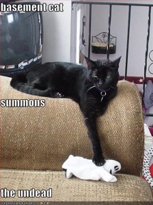 lolcatsbasementcatsummonsundead.jpg
