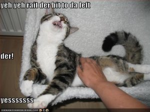 lolcatsbittodaleft.jpg