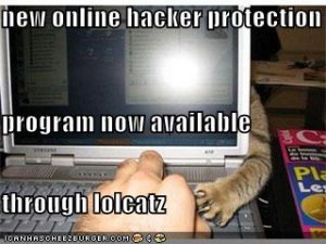 lolcatshackerprotection.jpg