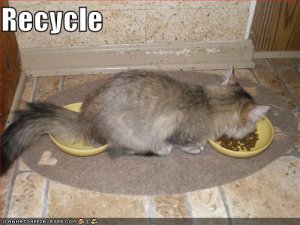 recycle.jpg