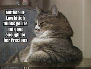 lolcatsMILkitty.jpg