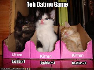 lolcatsdatinggame.jpg