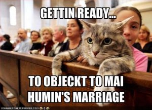 lolcatsobjectstomarriage.jpg