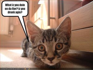 lolcatsizudrunk.jpg
