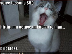 lolcatsvoicelessons.jpg