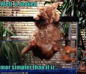 lolcatssimplerthanitiz.jpg