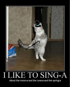 singa.jpg