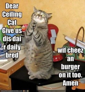 lolcatsceilingcatprayer.jpg