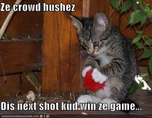 lolcatswinthegame.jpg