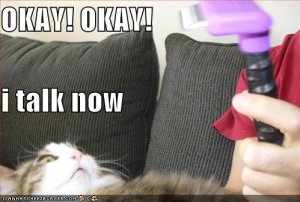 lolcatstortureforinfo.jpg