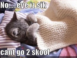 lolcatscantgo2skool.jpg