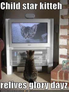 lolcatschildstarkitteh.jpg