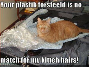 lolcatsnomatch.jpg