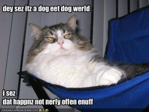 lolcatsdogeatdog.jpg