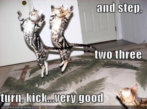 lolcatsballetlessons.jpg