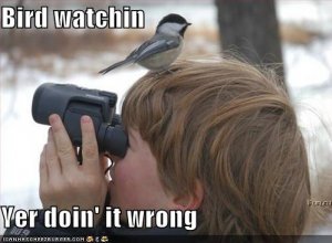 birdwatcher.jpg