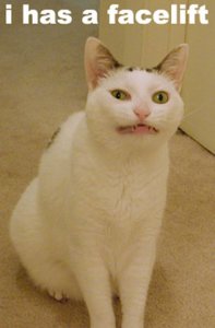 eeeeeeeek.jpg