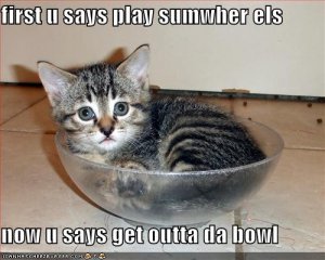 lolcatsfirst.jpg