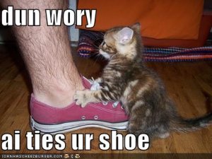 lolcatstieurshoe.jpg
