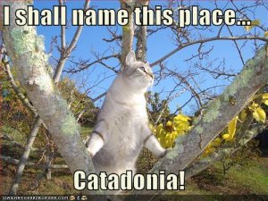 lolcatscatadonia.jpg