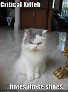 lolcatshatesyourshoes.jpg