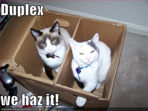lolcatsduplex.jpg