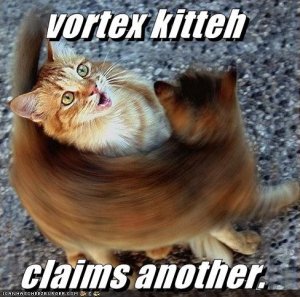 lolcatsvortexkitteh.jpg