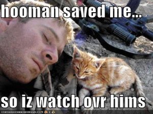 lolcatswatchoverhooman.jpg
