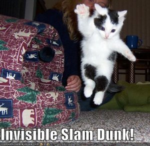 lolcatsinvisibleslamdunk.jpg