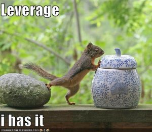 lolcatssquirrelleverage.jpg