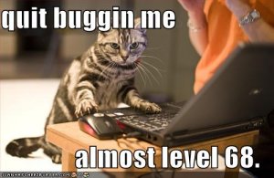 lolcatsgamer.jpg